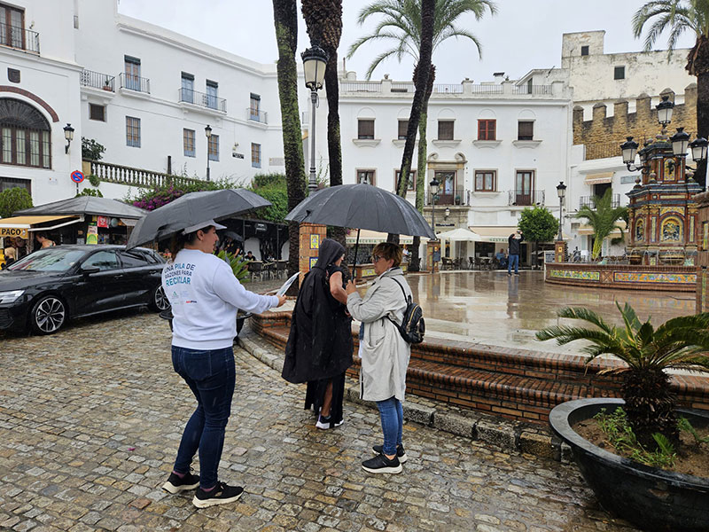 Vejer